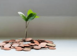 What Is an Initial Coin Offering (ICO)?